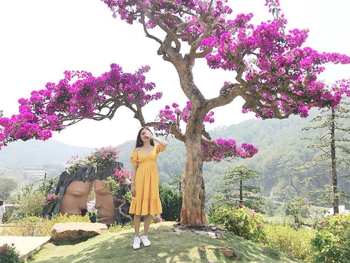 Tour Đà Lạt 3 ngày 3 đêm từ Hồ Chí Minh check-in Que Garden