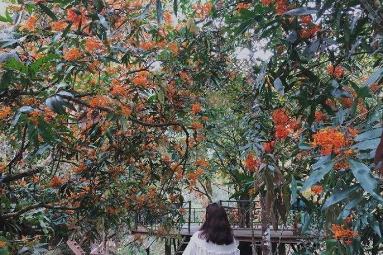 khu du lịch sinh thái Suối Nước Moọc