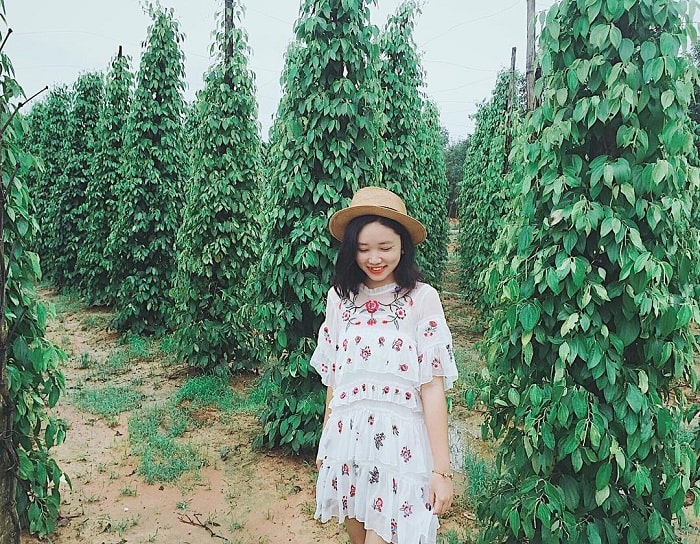 Combo Phú Quốc 4N3Đ tham quan vườn tiêu