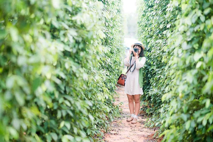 Combo Phú Quốc 3 ngày 2 đêm  nghỉ dưỡng InterContinental Phú Quốc Long Beach Resort 5 sao