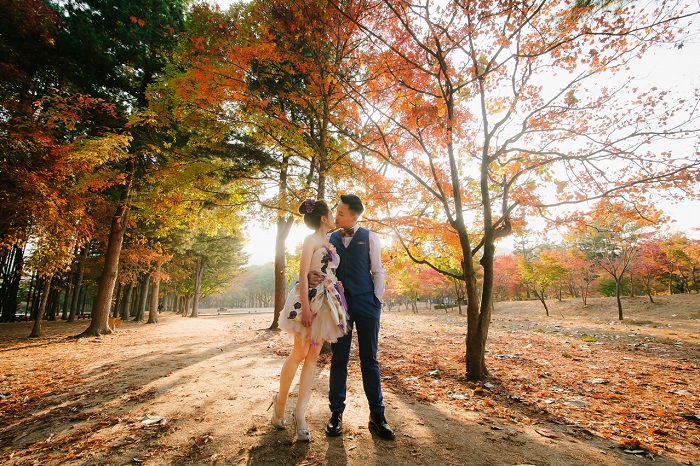 Vẻ đẹp đảo Nami