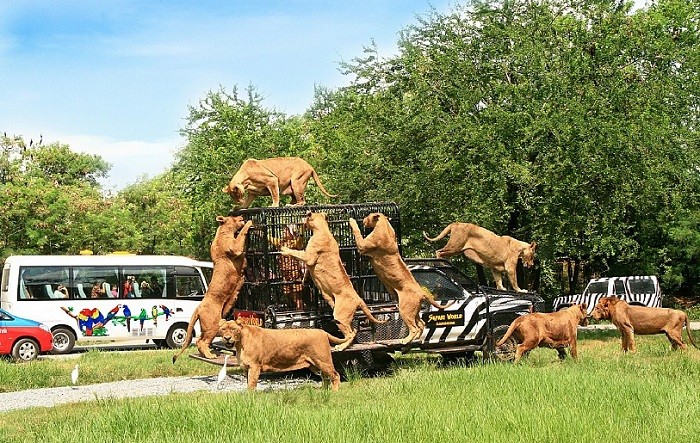 vuon_thu_lon_nhat_tai_thai_lan