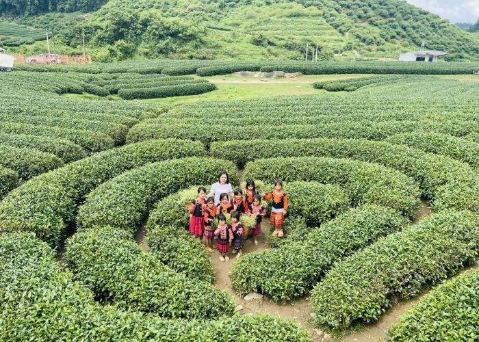 Vui chơi, tham quan