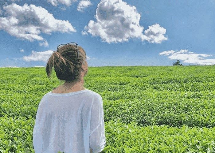 Khách trải nghiệm