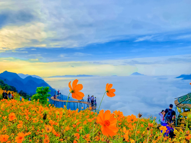 Vui chơi, tham quan