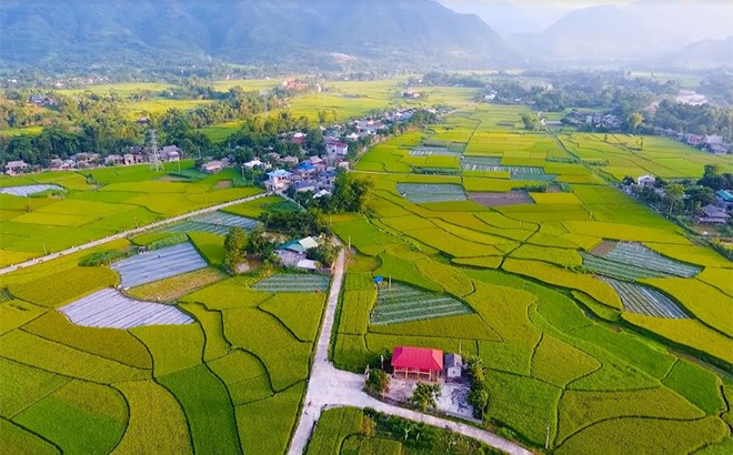 Vui chơi, tham quan