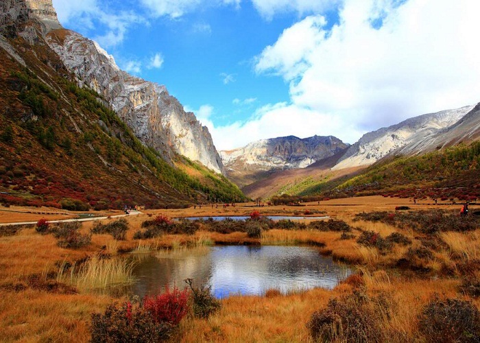 RYng_quYc_gia_Pudachuo