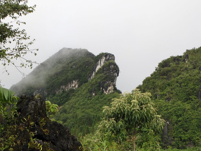 Du lịch Sapa: Lên Hàm Rồng, du khách như lạc vào vườn tiên, mây ùa kín thân người, hoa rực rỡ mặt đất.