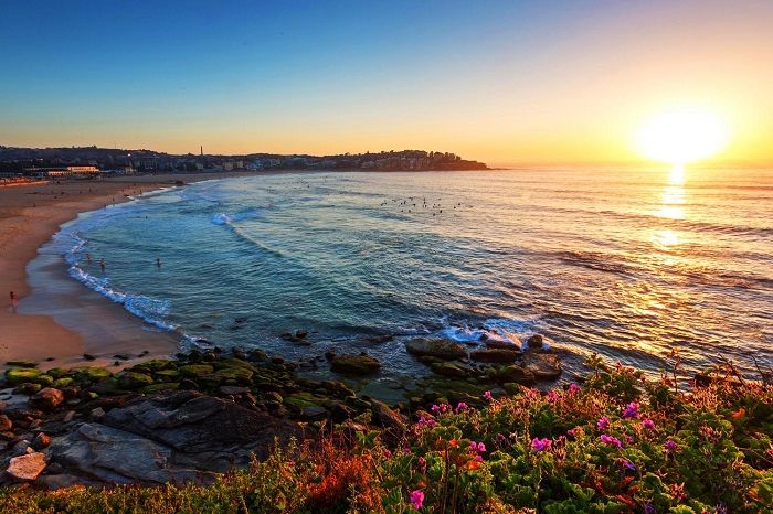 bondi