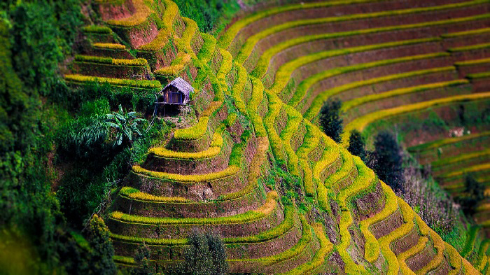 Du lịch Mù Cang Chải: Ruộng bậc thang La Pán Tẩn