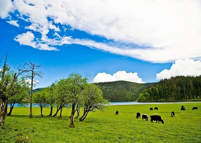Du lịch Trung Quốc: Thảo nguyên Cam Hải Tử xanh mênh mông với dòng sông bao quanh