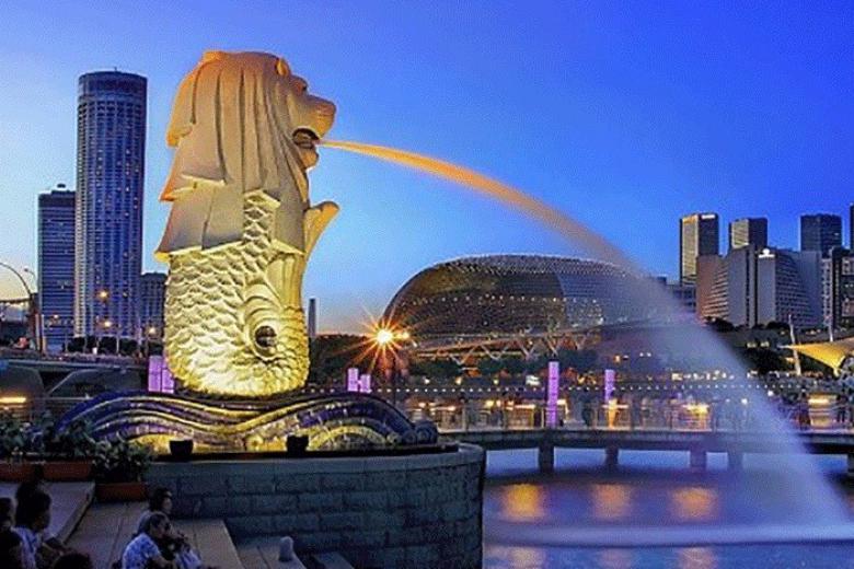 công viên sư tử biển