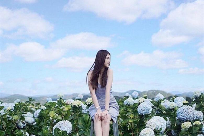 Vườn Hoa Cẩm Tú Cầu