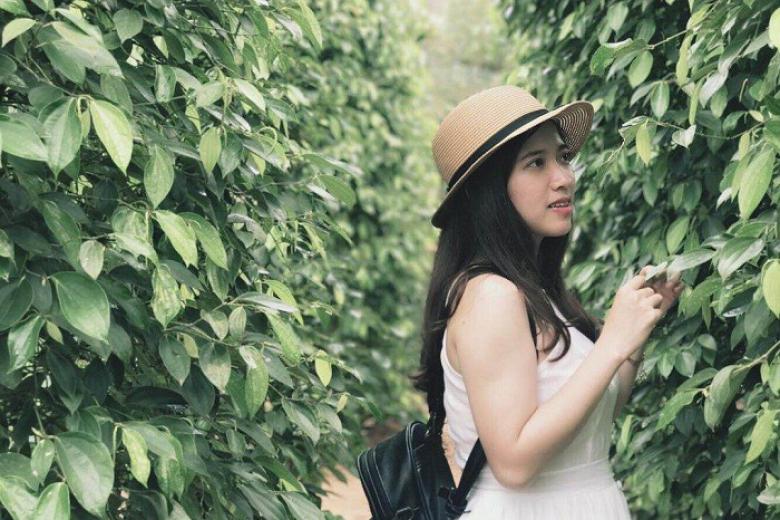 Vườn Tiêu Phú Quốc