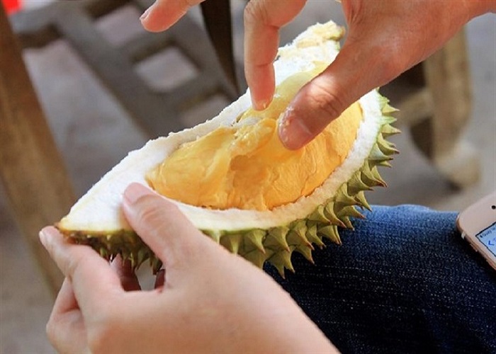 Thưởng thức sầu riêng tại vườn