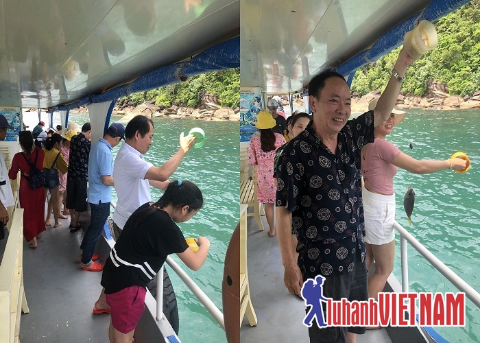 Du khách trải nghiệm câu cá trên tàu
