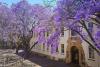 Tour Nam Phi 9N8Đ: Từ HCM - Cape Town - Vịnh cá voi Hermanus - Johannesburg - Pretoria - Pilanesberg Game Reserve, Bay Emirates 5* + KS 4*