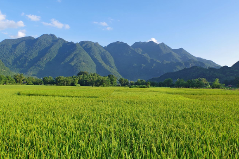 Mai Châu