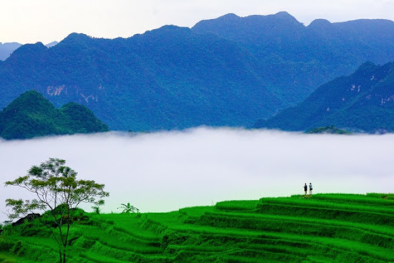 đắm chìm trước vẻ đẹp sương mai