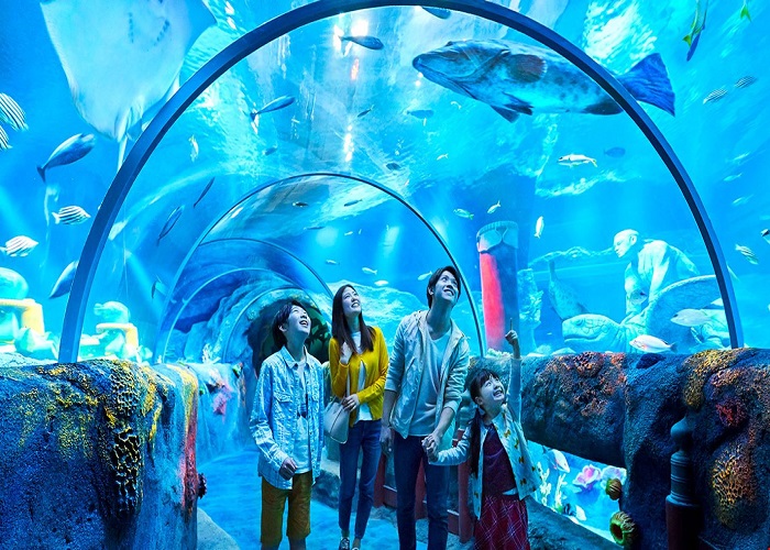 Sea Aquarium
