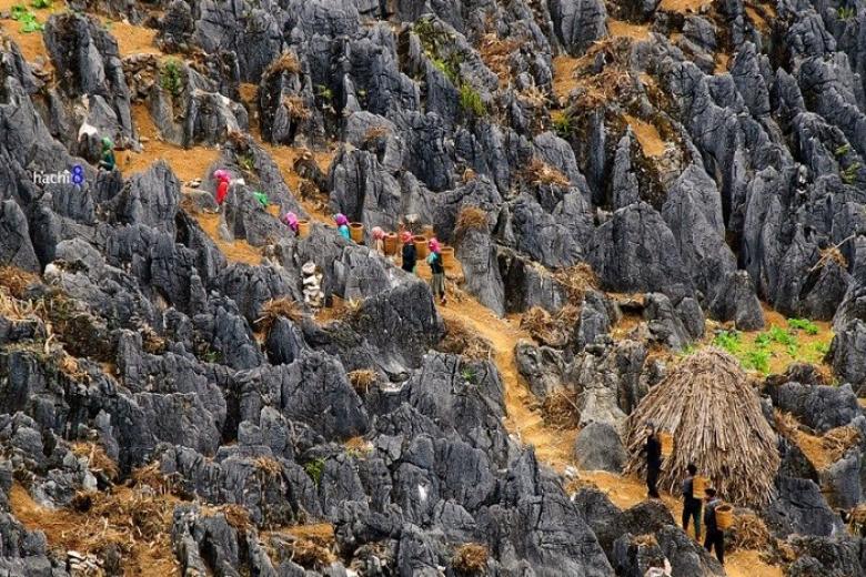 Cao nguyên đá Đồng Văn