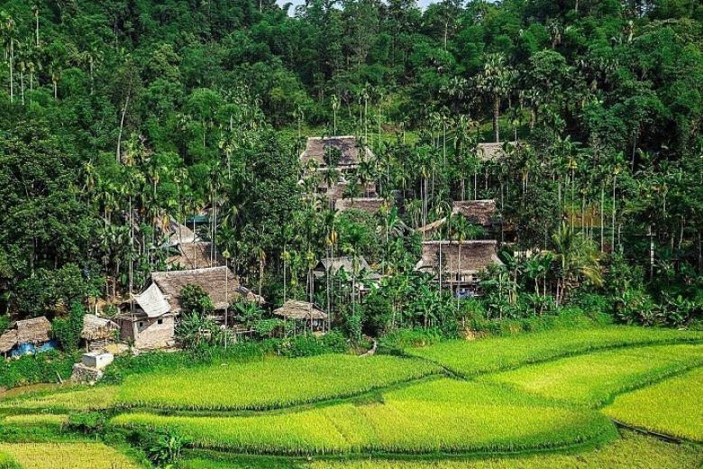 Khu bảo tồn thiên nhiên Pù Luông