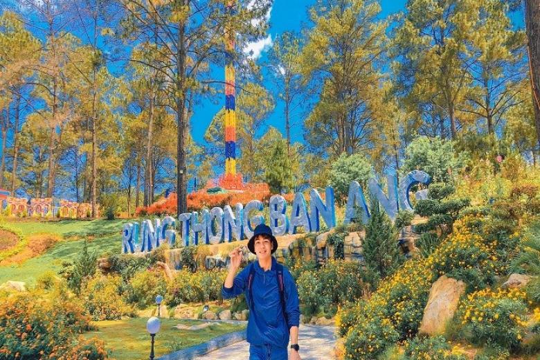 Rừng thông Bản Áng