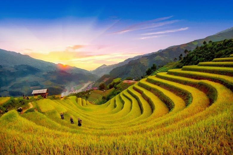 Ruộng bậc thang La Pán Tẩn