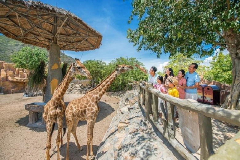 Vườn Thú Mở - Vinpearl Safari
