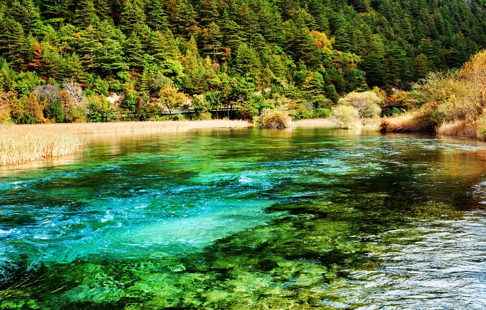 kitay-jiuzhaigou-national-4582