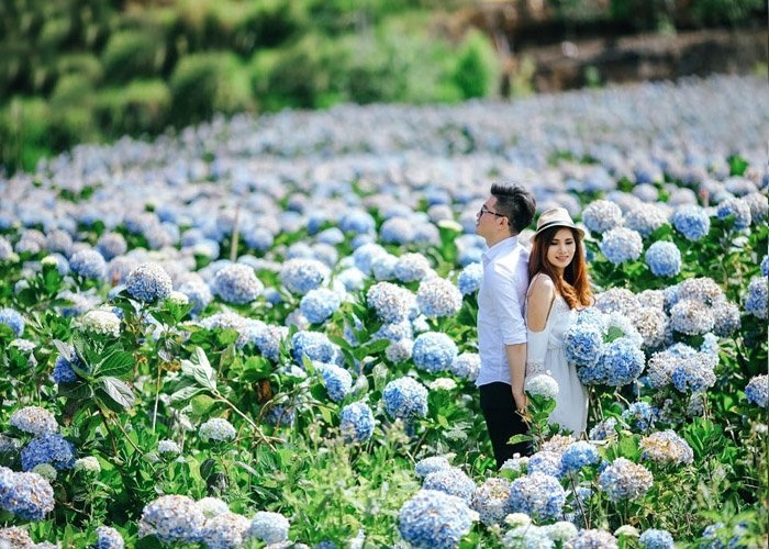 Thành phố ngàn hoa