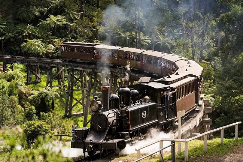 Xe lửa hơi nước: Puffing Billy