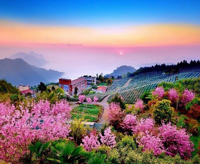 40efc1d8bb352f27bfc39b4070331811