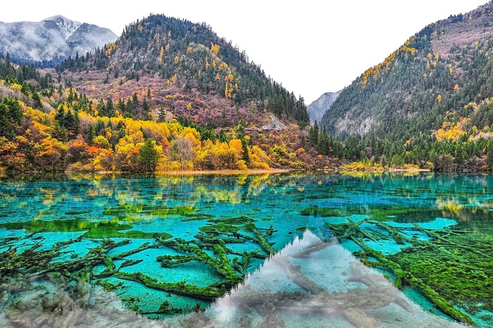 92338ebdbbbfbef629c82ba4ab4e0d3f_-_Copy