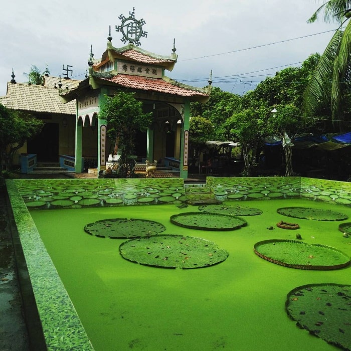 Tour tham quan miền Tây 1 ngày từ Hồ Chí Minh