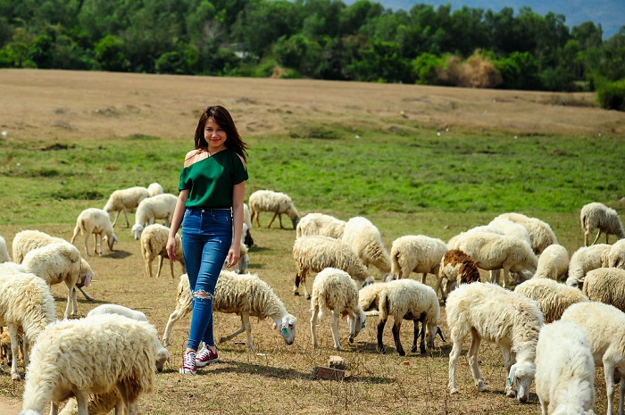 Tour du lịch Vũng Tàu 1 ngày từ Hồ Chí Minh