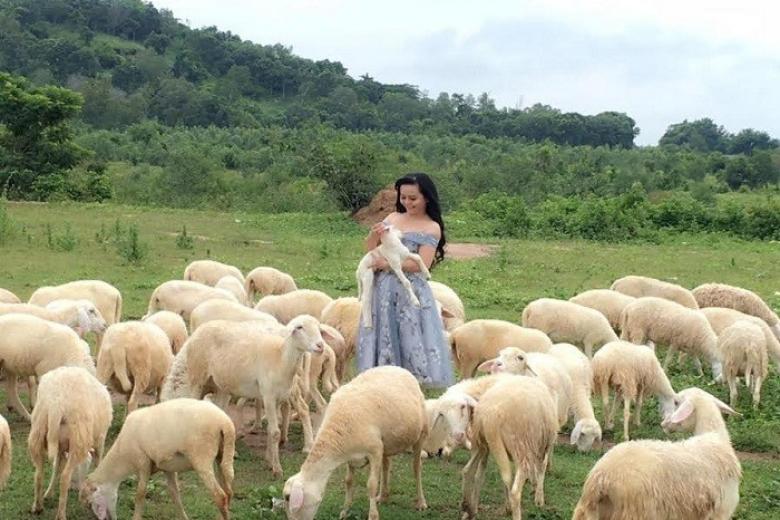 Đồng cừu Châu Pha