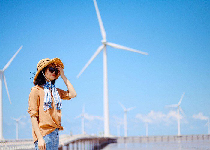 Cánh đồng gió Bạc Liêu