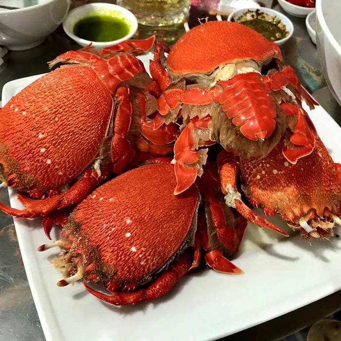Cua Huỳnh Đế Lý Sơn