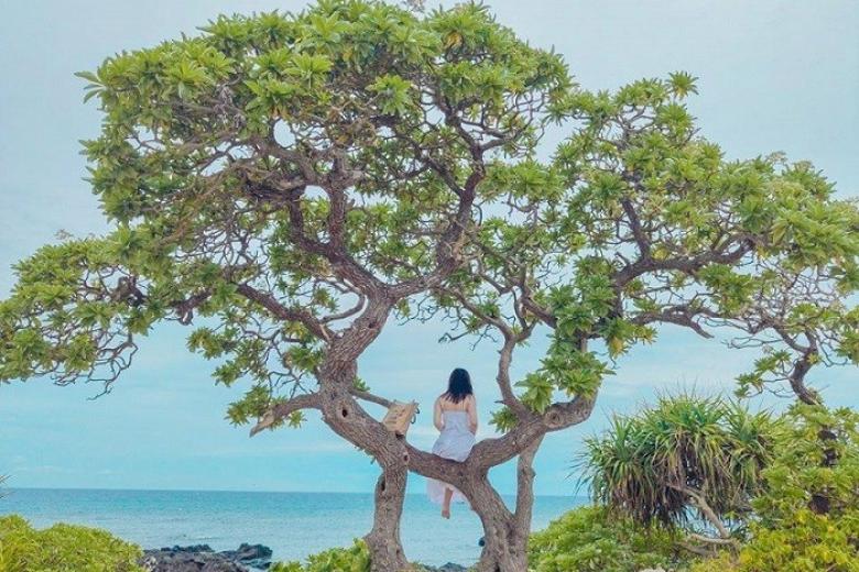 Đảo Bé Lý Sơn