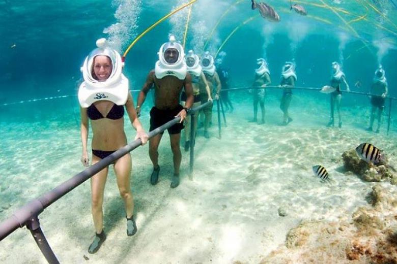 780_crop_di_bo_duoi_bien