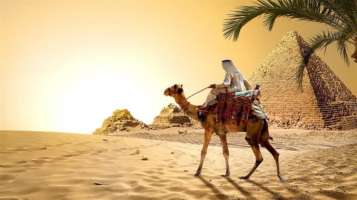 Trải nghiệm cưỡi lạc đà