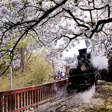 Tour Đài Loan 6N5Đ: Từ Hà Nội - Đài Bắc - Đài Trung - Cao Hùng, Bay VN + KS 3-4*