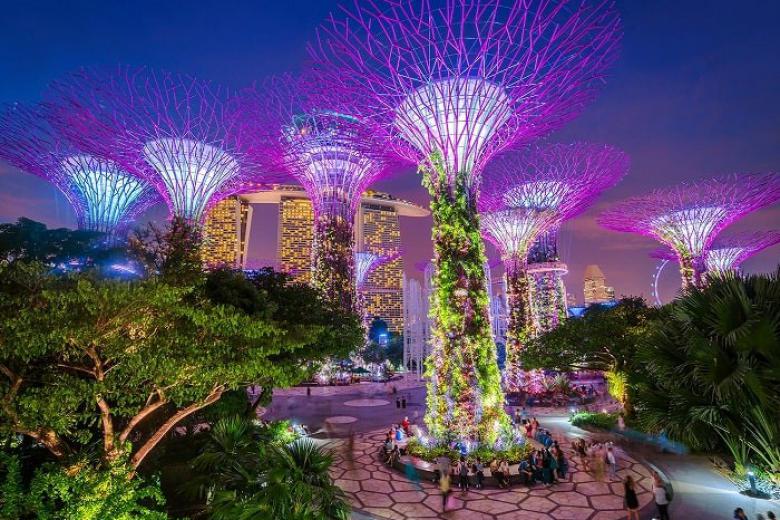Vườn thực vật siêu cây khổng lồ Gardens By The Bay