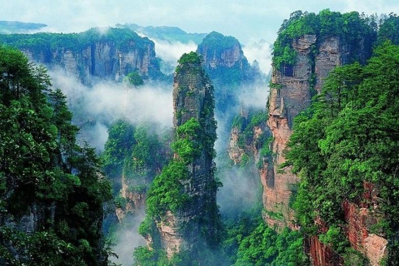 Trương Gia Giới