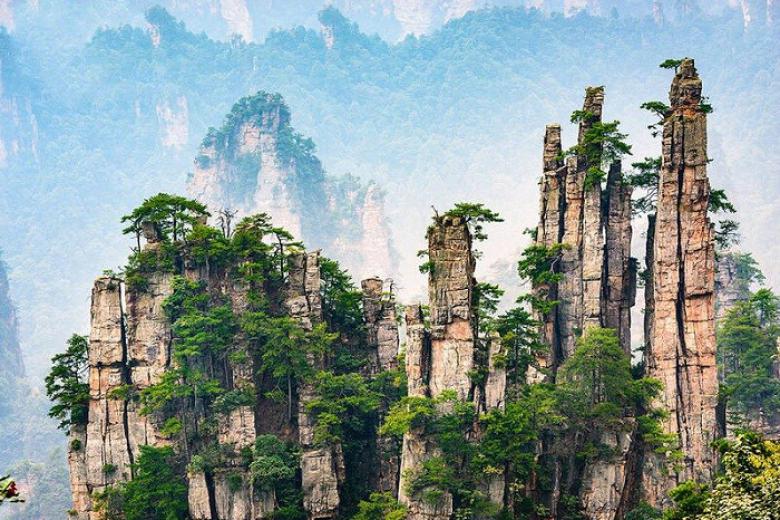 Trương Gia Giới