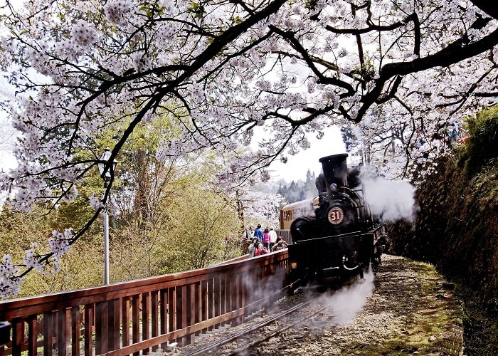 Khách trải nghiệm