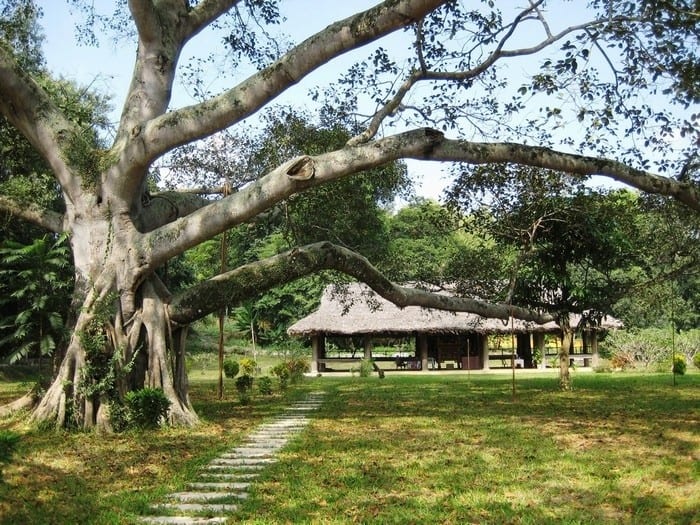 Đình Tân Trào nơi họp Quốc dân Đại hội năm 1945