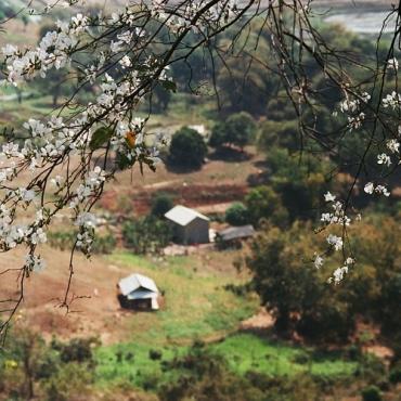 Tour Tây Bắc 3N2Đ: Từ Hà Nội - Mộc Châu - Sơn La - Điện Biên, Xe Ôtô