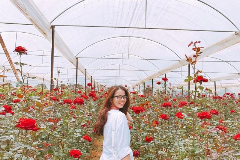 Làng hoa Vạn Thành